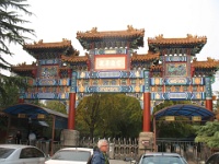 2011China 555